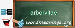 WordMeaning blackboard for arborvitae